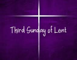 Weekly Update: March 9-13, 2026